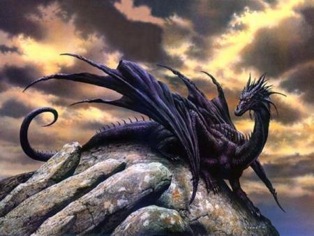 DRAGON NOIR